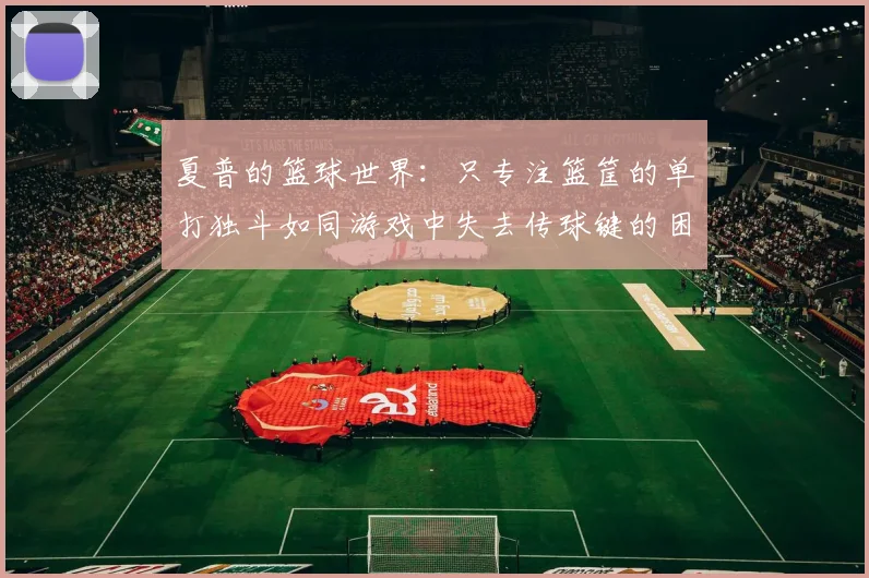 夏普的篮球世界：只专注篮筐的单打独斗如同游戏中失去传球键的困境